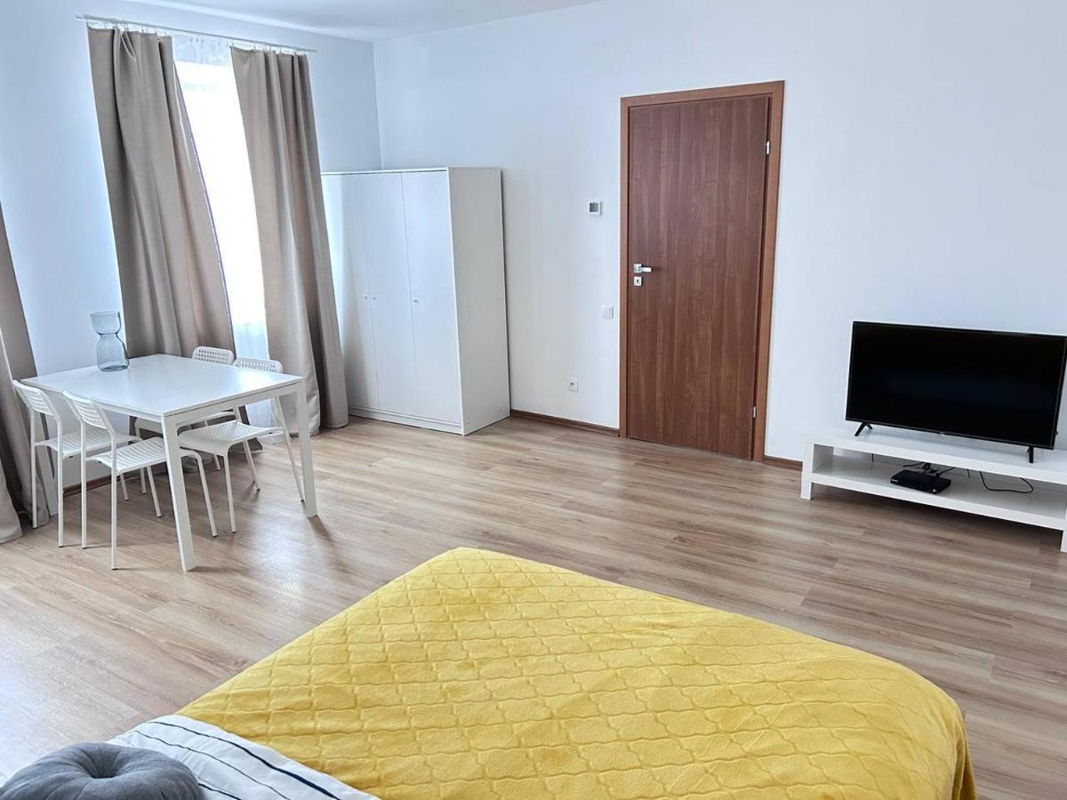 Stone Apartment - Free Parking Катовице Екстериор снимка